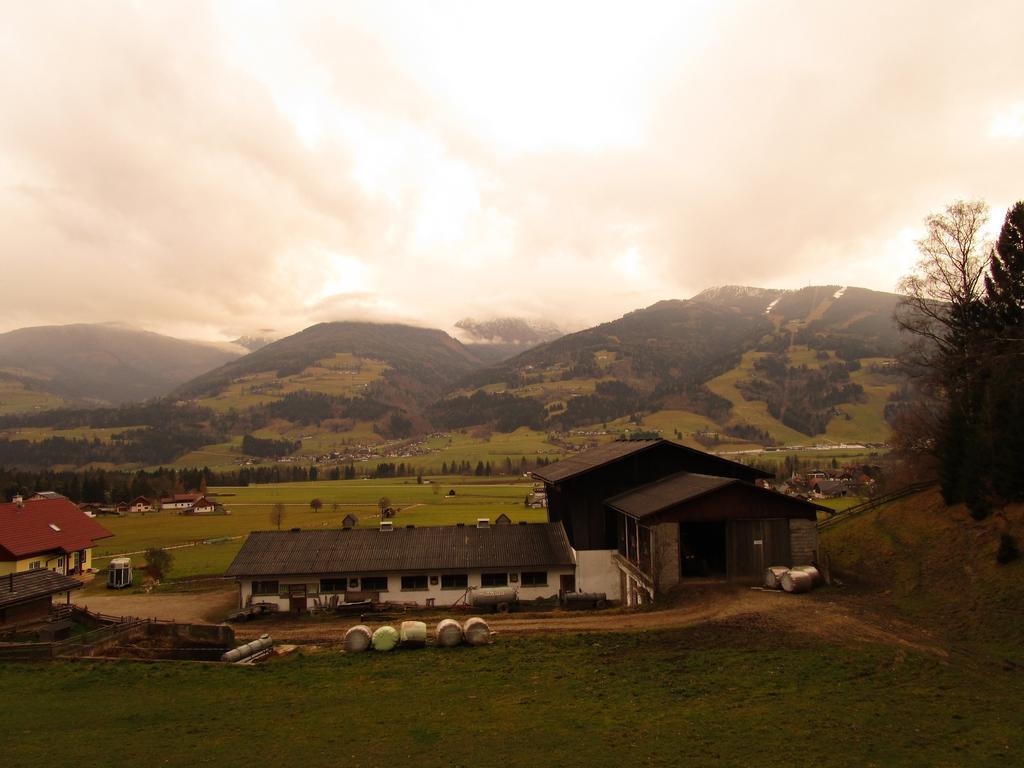 Appartment Stiegler Haus im Ennstal Room photo